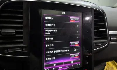 Renault-KoreaSamsung QM6 2019, 65143 км, за 12900000 KRW - фото 32