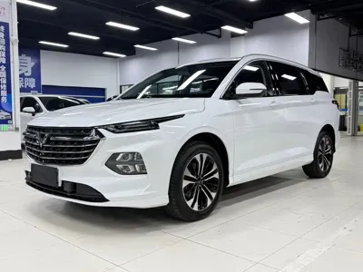 Wuling Victory · 2022 год