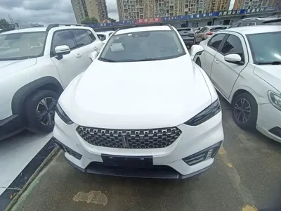 WEY Wey VV7 2019, 49000 км, за 49400 CNY