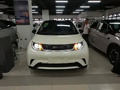 BYD Dolphin 2023, 19100 км, за 63900 CNY