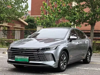 BYD Destroyer 05 · 2024 год