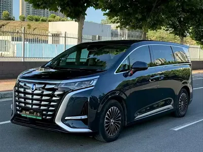Denza Denza D9 · 2023 год