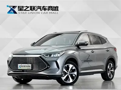 BYD PLUS New Energy · 2022 год