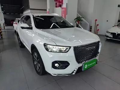 Haval H6 2020, 112400 км, за 41200 CNY - фото 4