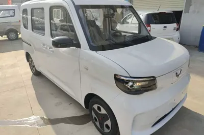 Wuling Zhiguang New Energy 2025, 100 км, за 62031.47 CNY