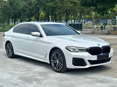 BMW 5 Series · 2022 год