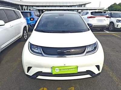 BYD Dolphin 2023, 38900 км, за 82656.51 CNY