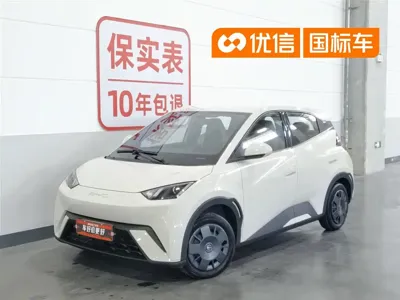 BYD Seagull · 2024 год