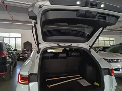 BYD PLUS New Energy 2021, 99500 км, за 59300 CNY - фото 19