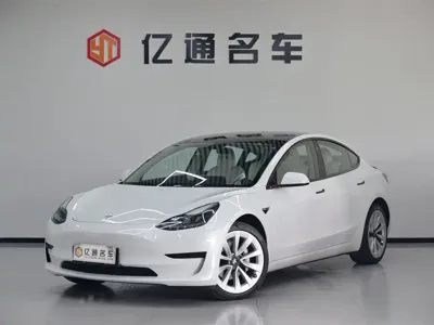 Tesla Model 3 · 2021 год