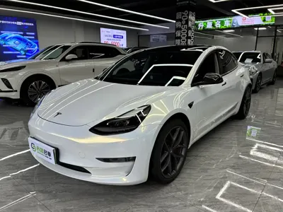 Tesla Model 3 · 2021 год