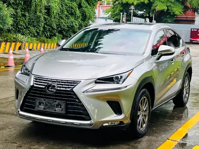 Lexus NX · 2019 год