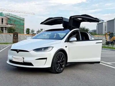 Tesla Model X · 2023 год