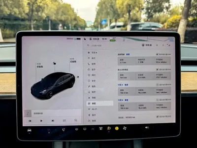 Tesla Model 3 2021, 146000 км, за 98000 CNY - фото 10