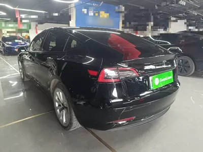 Tesla Model 3 2021, 49000 км, за 137689.2 CNY