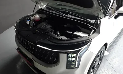 Kia Canival 2024, 25724 км, за 37650000 KRW - фото 6