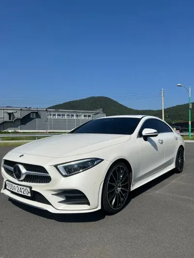 Mercedes-Benz CLS-Class · 2019 год