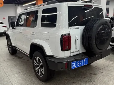 Tank Tank 300 2022, 50000 км, за 129800 CNY