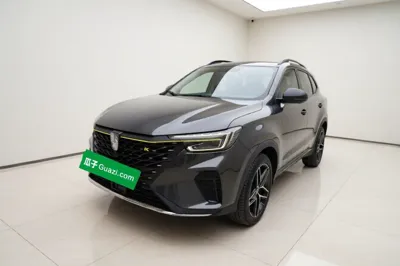 Roewe RX5 New Energy · 2021 год