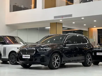 BMW X5 (Import) · 2021 год
