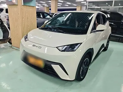 BYD Seagull · 2023 год