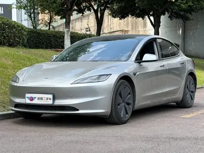 Tesla Model 3 · 2024 год
