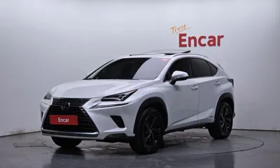 Lexus NX · 2019 год