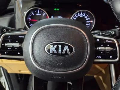 Kia Canival 2021, 122900 км, за 17900000 KRW - фото 13