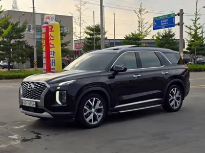 Hyundai Palisade · 2019 год
