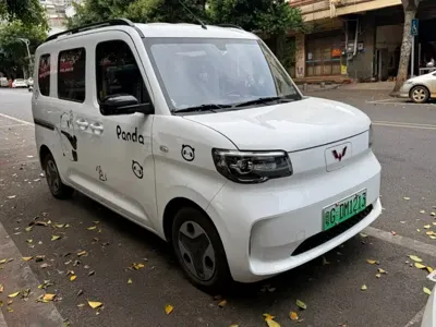 Wuling Zhiguang EV 2025, 10000 км, за 48800 CNY