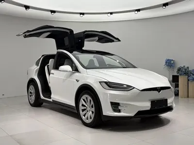 Tesla Model X 2019, 90000 км, за 248000 CNY