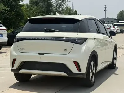 BYD Dolphin 2023, 25000 км, за 58800 CNY - фото 9