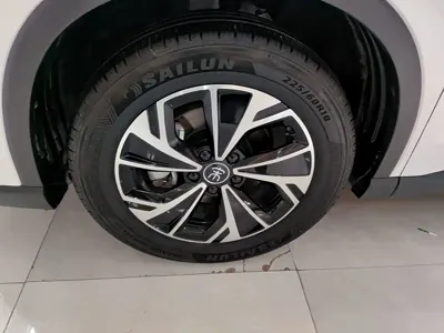 BYD Pro New Energy 2025, 15200 км, за 77500 CNY - фото 23