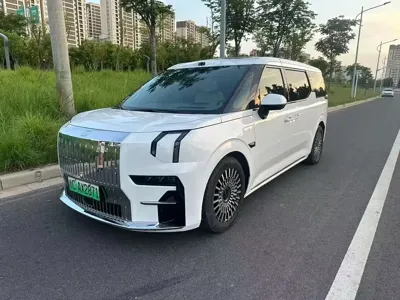 Zeekr 009 · 2025 год