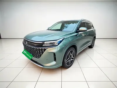Landian Landian E5 · 2024 год