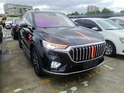 Hongqi Hongqi HS5 2022, 51200 км, за 74100 CNY