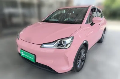 NETA V · 2021 год