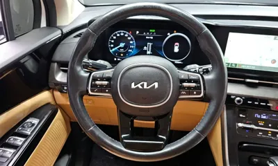 Kia Canival 2023, 153904 км, за 18900000 KRW - фото 12