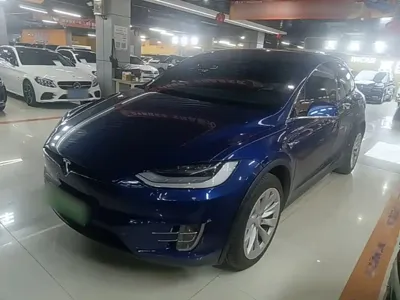 Tesla Model X · 2020 год