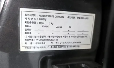 Citroen-DS C4 CACTUS 2018, 78592 км, за 6540000 KRW - фото 27