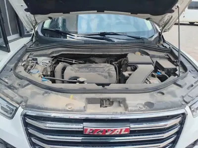 Haval H2s 2017, 35300 км, за 28500 CNY - фото 20