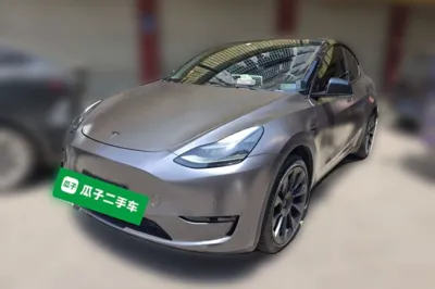 Tesla Model Y · 2021 год