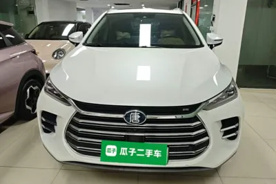 BYD Tang New Energy 2018, 23100 км, за 83791.77 CNY