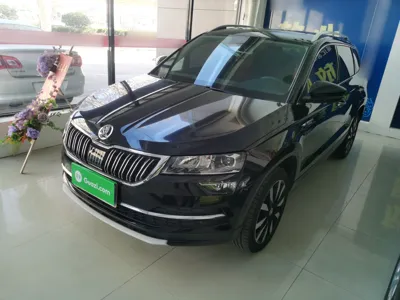 Skoda Karoq · 2021 год