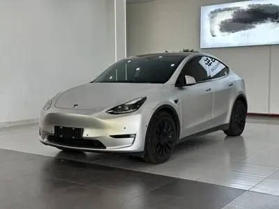 Tesla Model Y · 2021 год