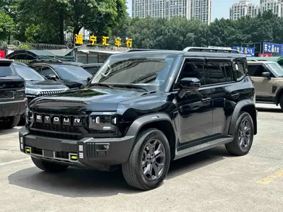 Shanhai 捷途旅行者C-DM · 2024 год