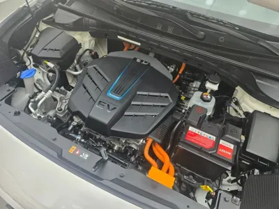 Kia Niro 2022, 260000 км, за 12900000 KRW - фото 6