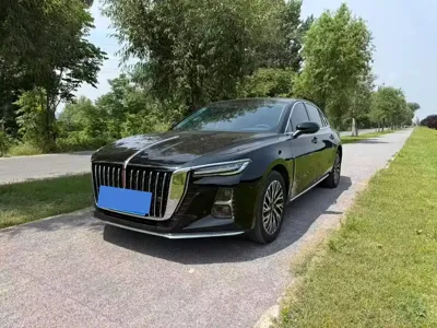 Hongqi Hongqi H5 · 2024 год