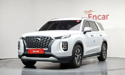Hyundai Palisade · 2020 год