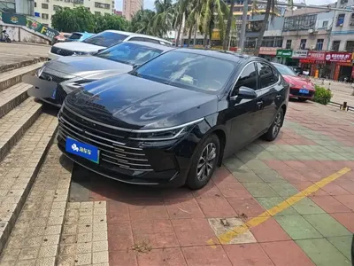 BYD Destroyer 05 · 2024 год